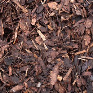 BARK Landscape