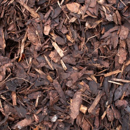 BARK Landscape