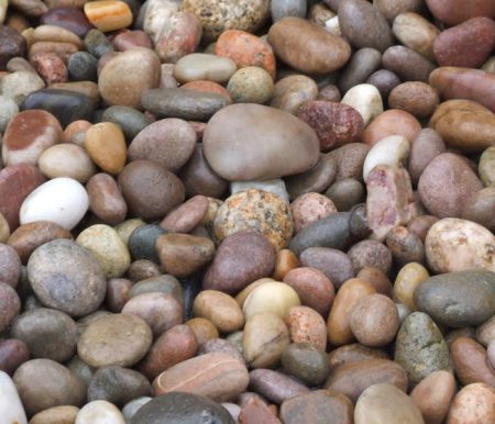 CHIP SCOTTISH PEBBLE